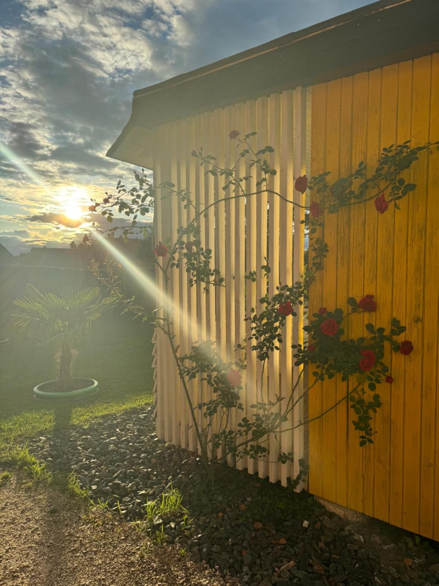 Bungalows Sonnenblume Am Klopeiner See Sankt Kanzian am Klopeiner See Exterior foto